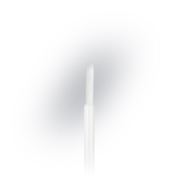 EL01